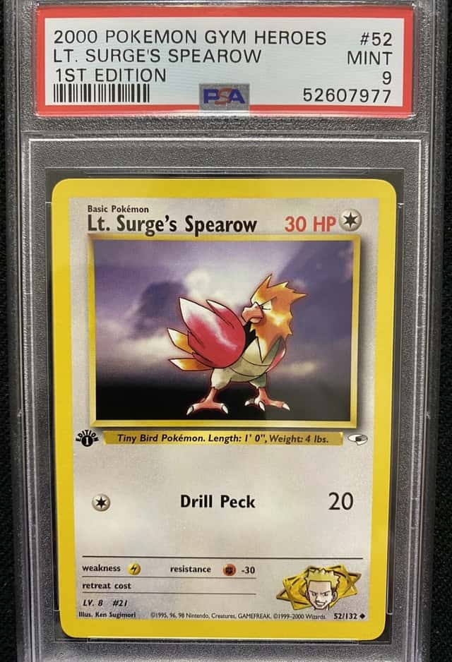 Lt. Surge's Spearow