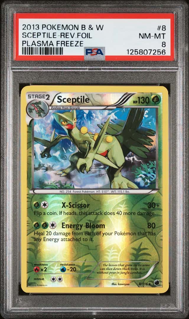 SCEPTILE