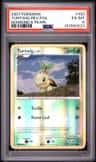 Turtwig