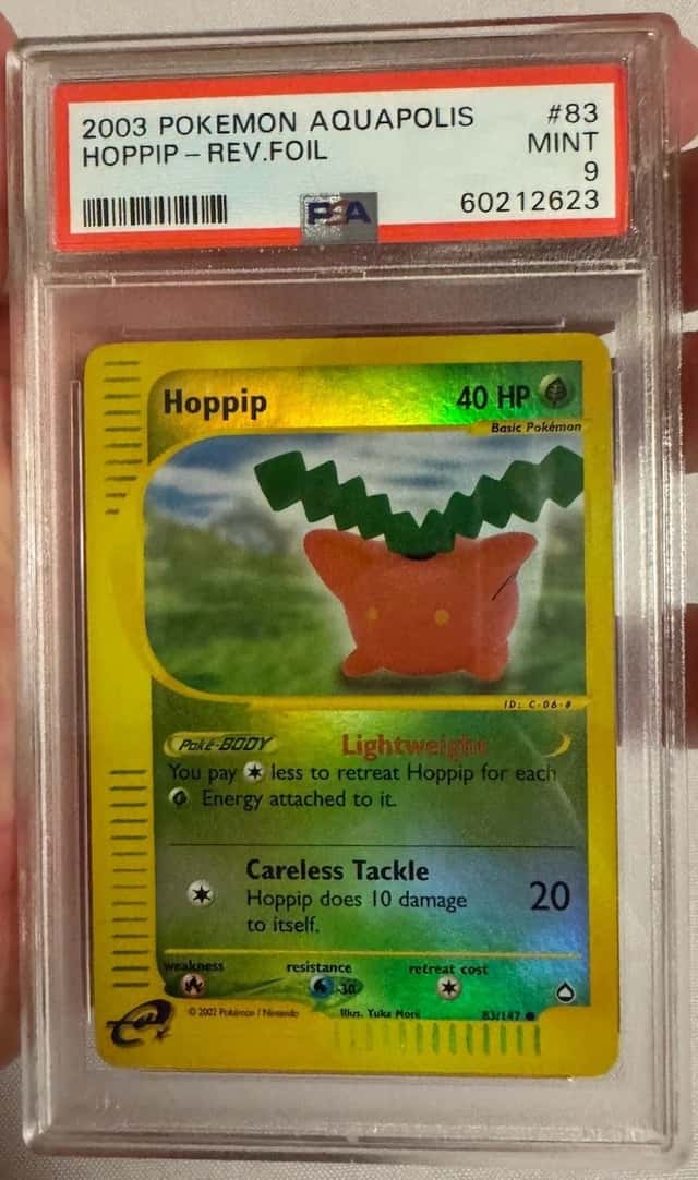 Hoppip