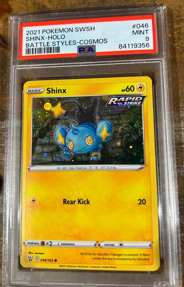 Shinx