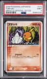 Torchic