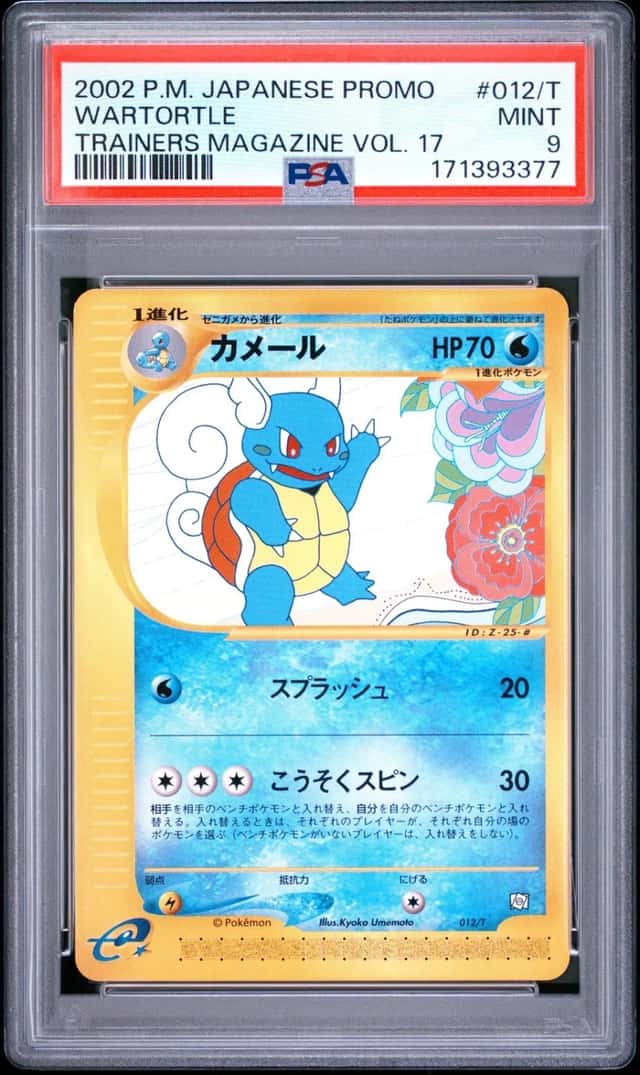 Wartortle