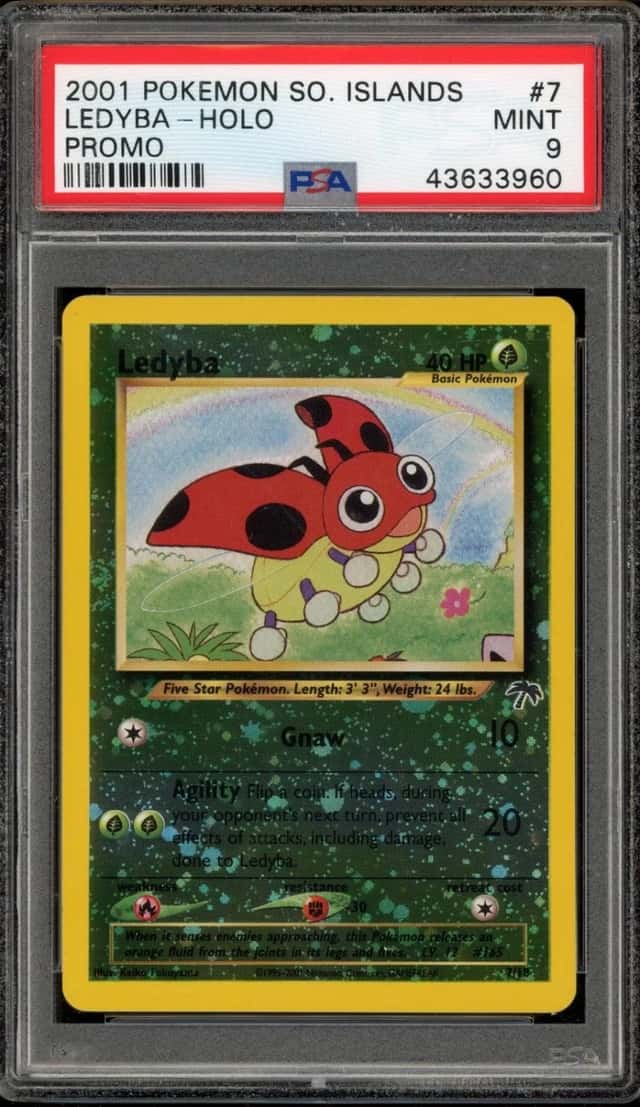Ledyba