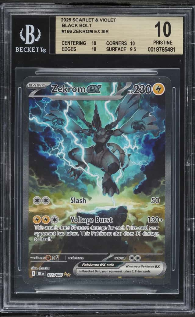 ZEKROM ex