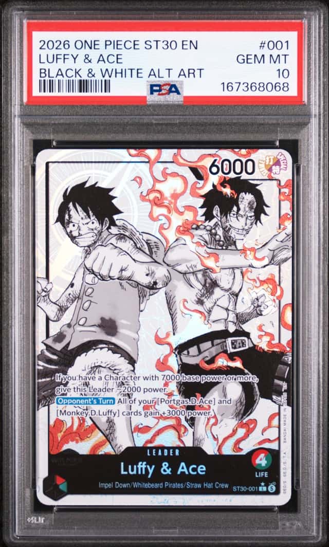 Luffy & Ace