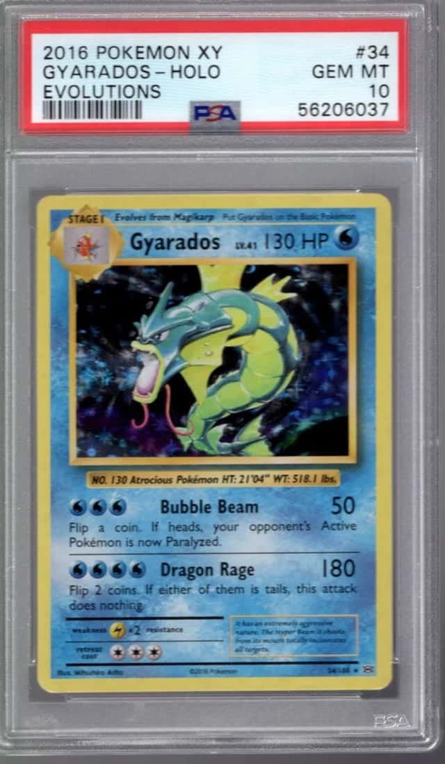 Gyarados