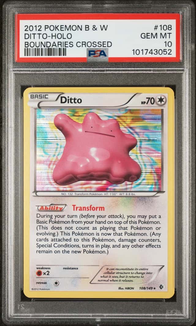 Ditto