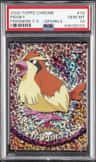 Pidgey