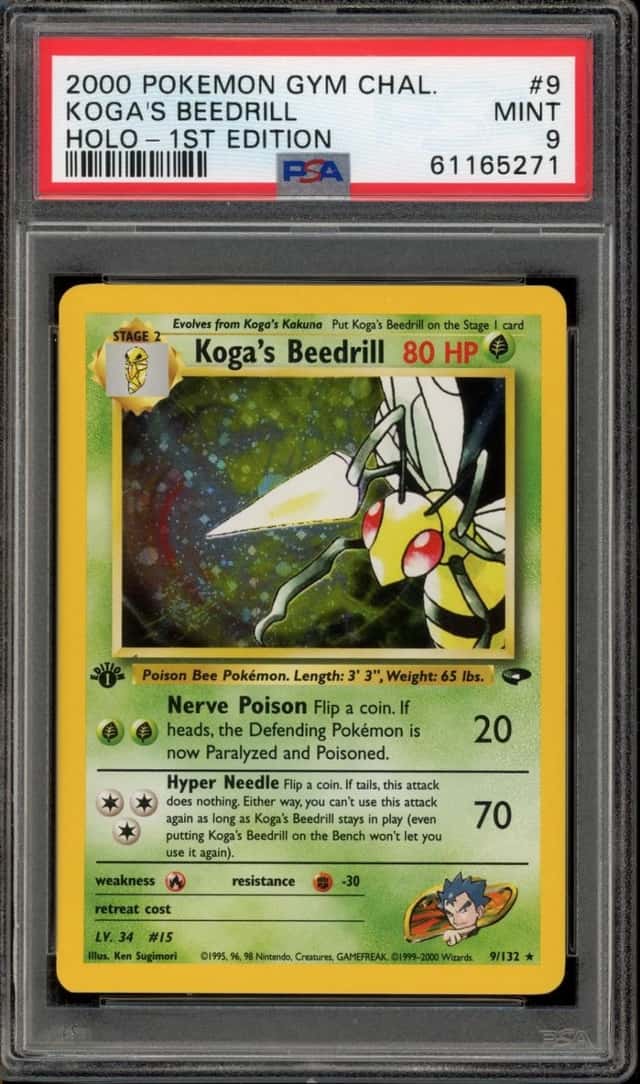 Koga's Beedrill