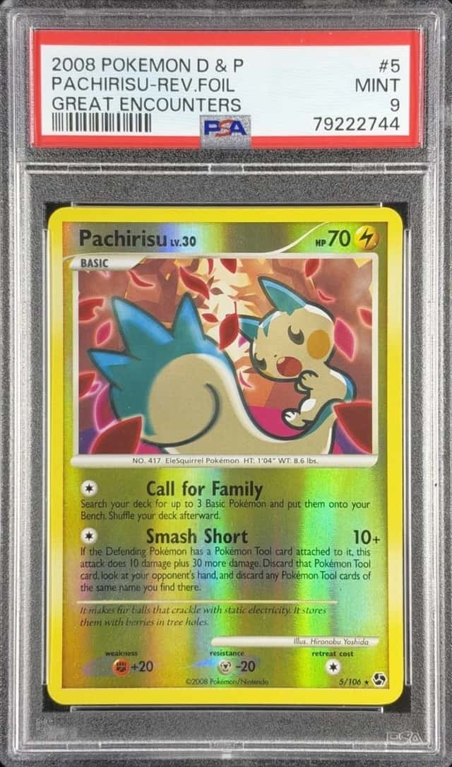 Pachirisu