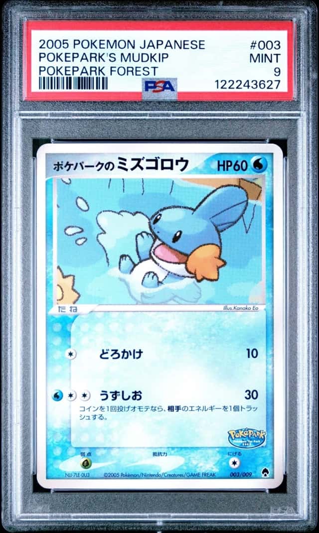 Pokepark's Mudkip