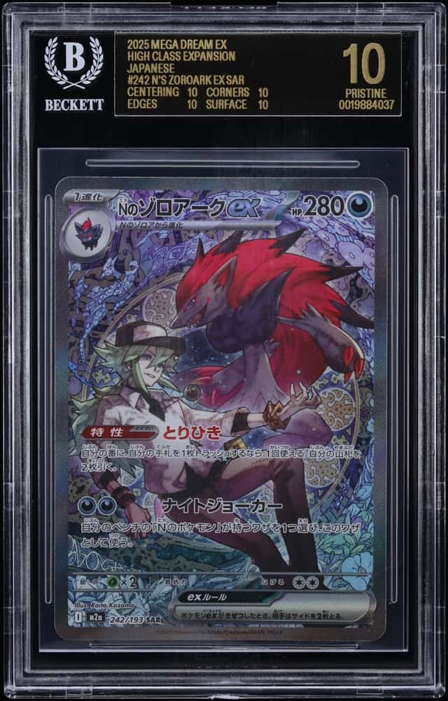 N's Zoroark ex