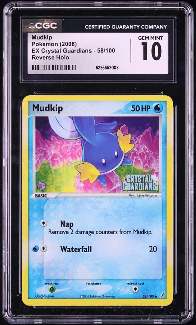 Mudkip