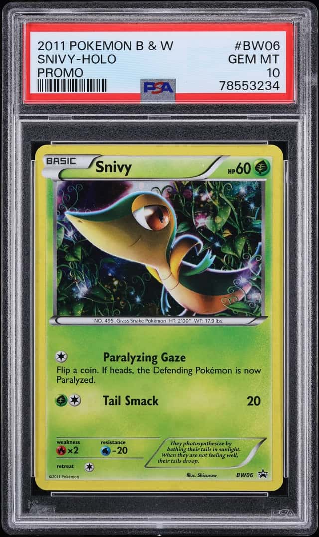 Snivy