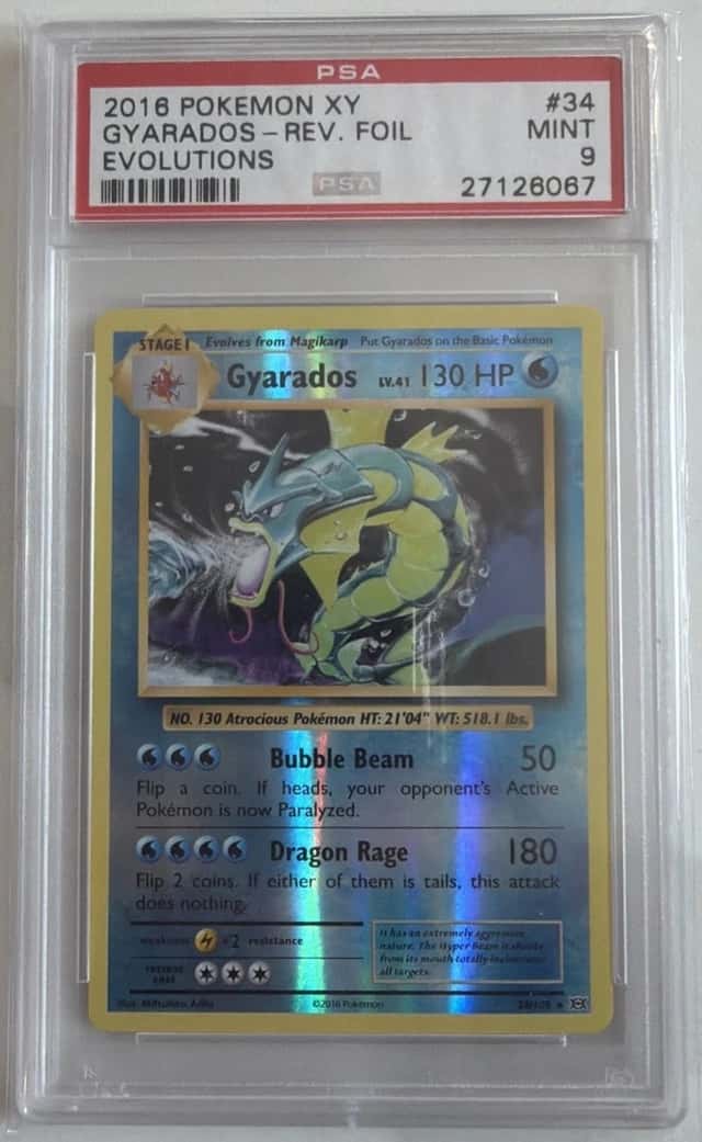 Gyarados