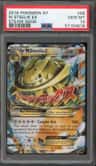 M Steelix Ex