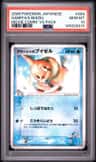 Samiya'S Buizel