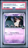 Team Rocket'S Mimikyu