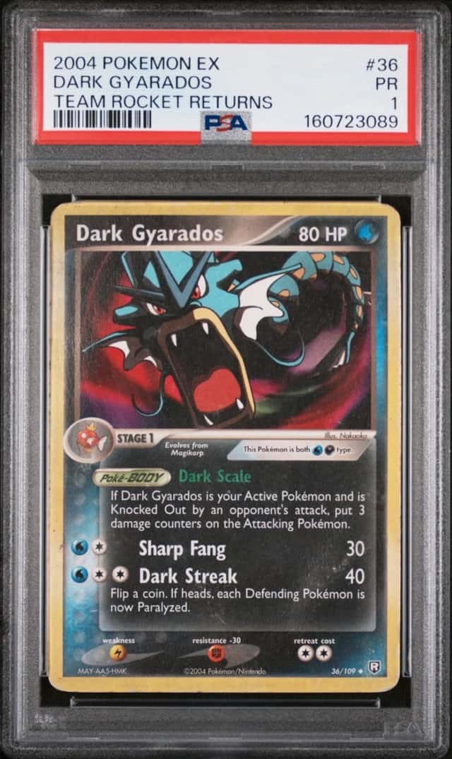Dark Gyarados