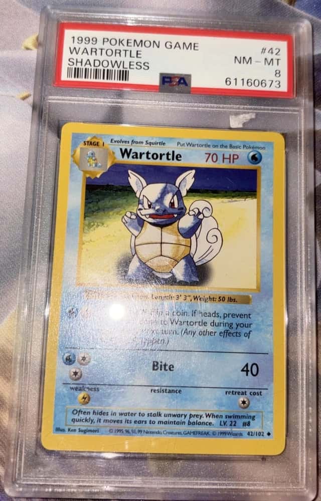 Wartortle