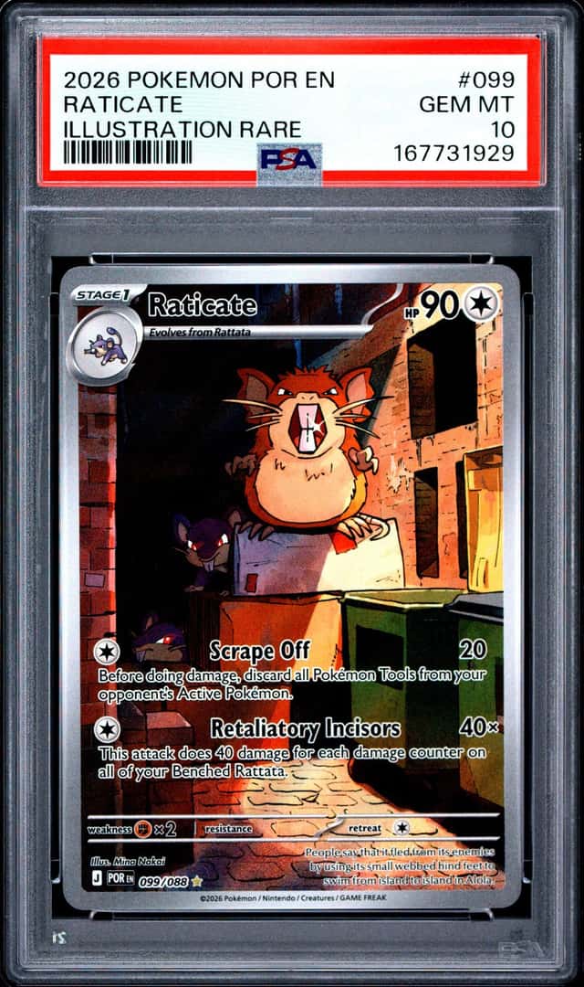 Raticate