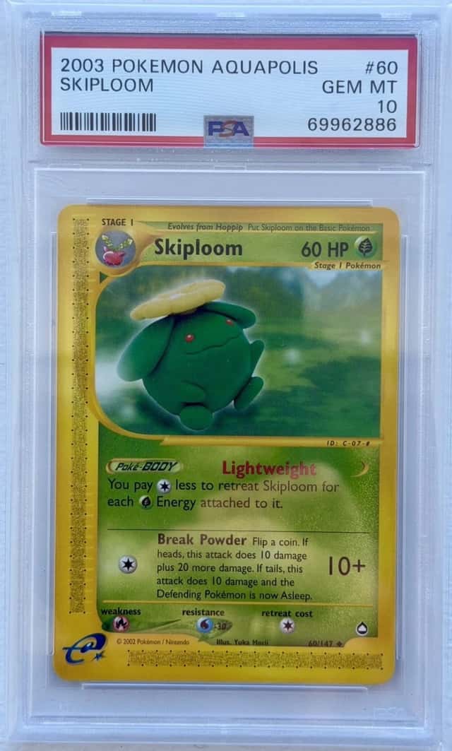 Skiploom