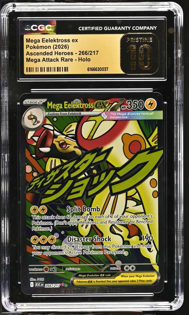 MEGA EELEKTROSS ex