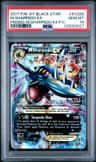 M Sharpedo Ex