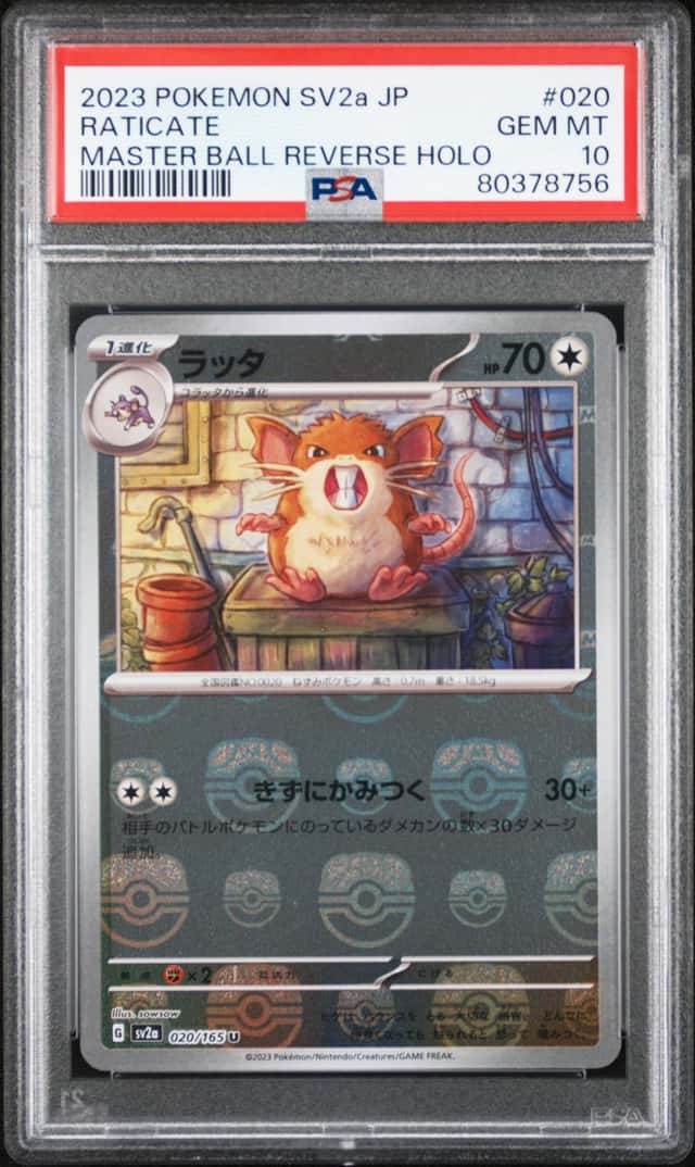 Raticate
