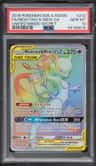 Mewtwo & Mew Gx