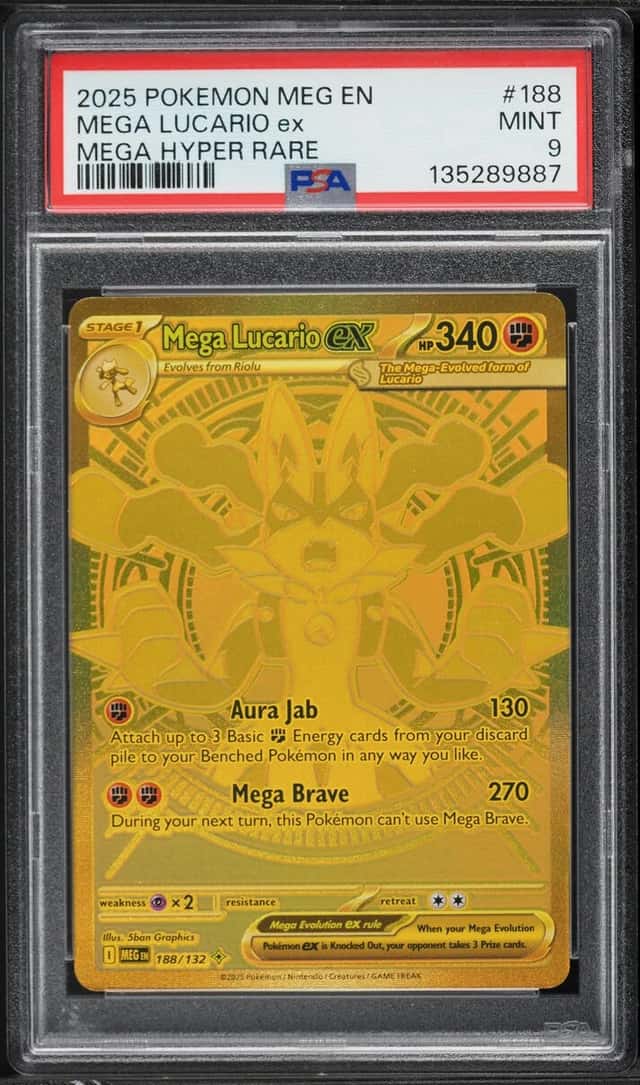 MEGA LUCARIO ex