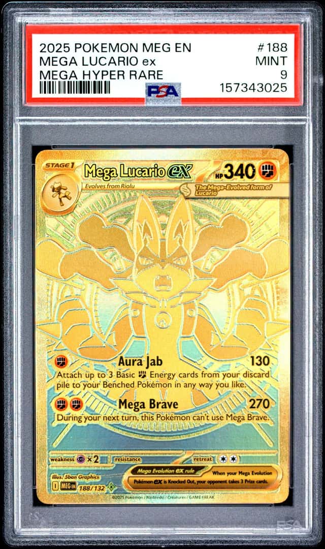 MEGA LUCARIO ex