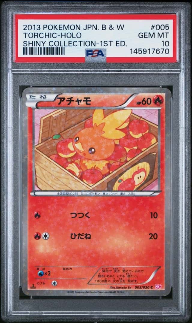 Torchic