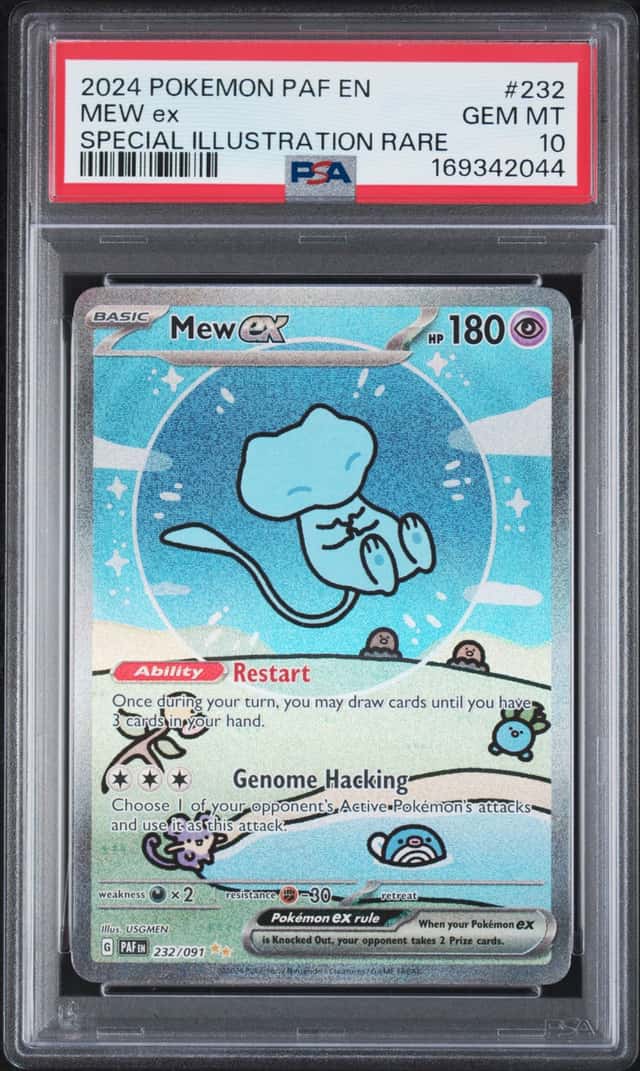 MEW ex