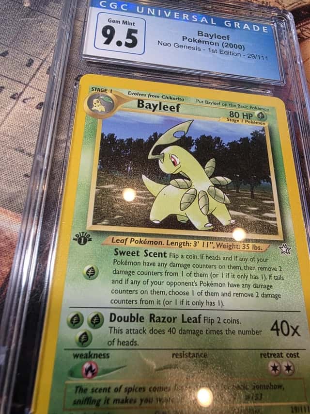 Bayleef