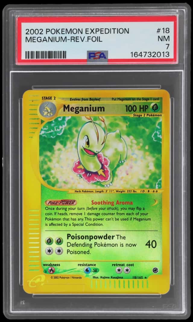 Meganium