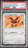 Poncho-Wearing Eevee