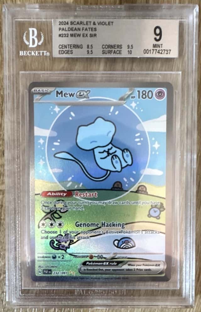 MEW ex