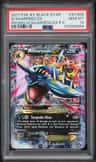 M Sharpedo Ex