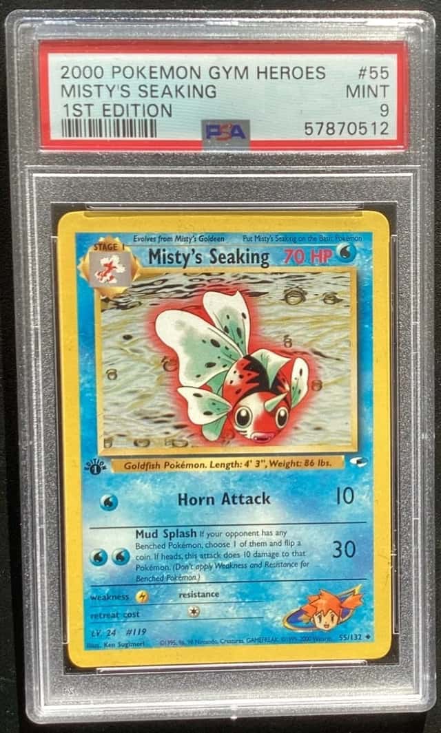 Misty's Seaking