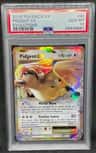 Pidgeot Ex