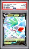 Shaymin V