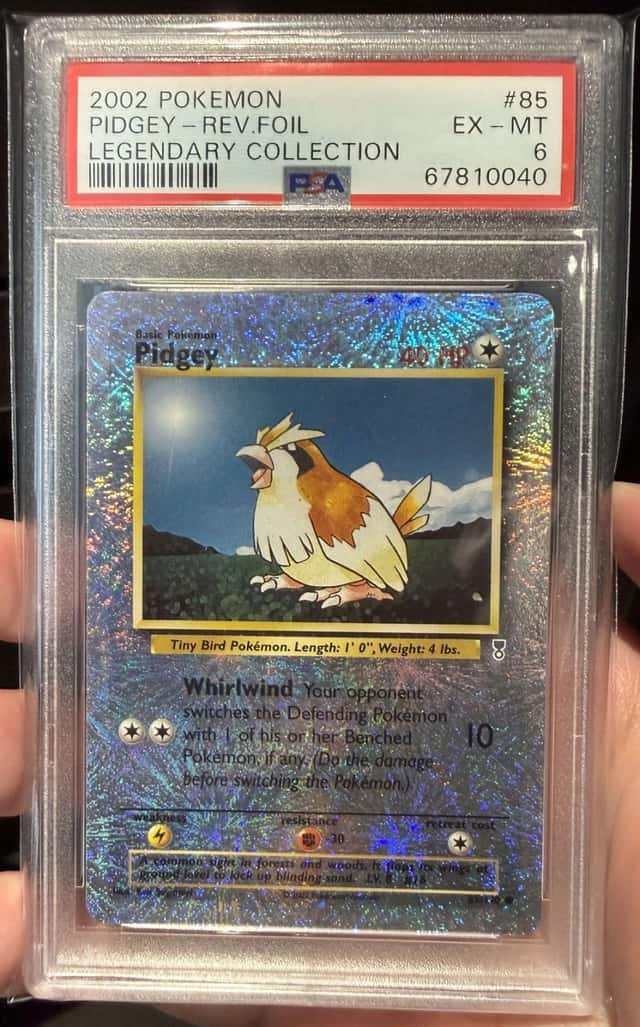 Pidgey