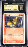Torchic