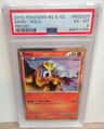 Entei