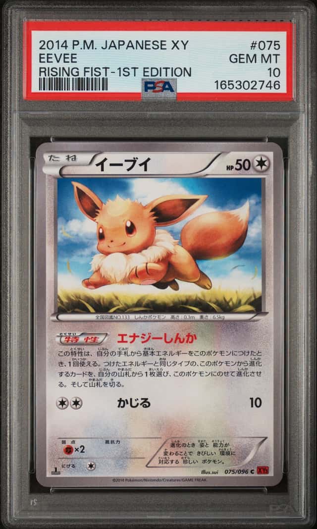 Eevee