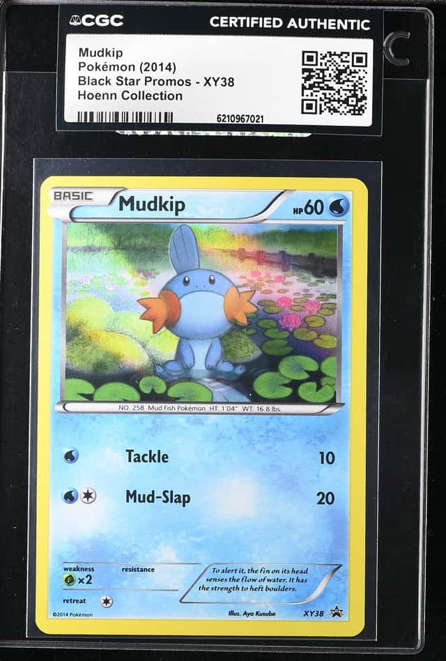 Mudkip