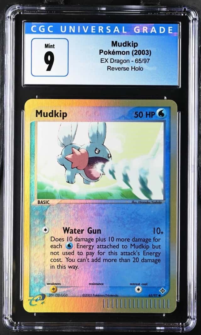 Mudkip