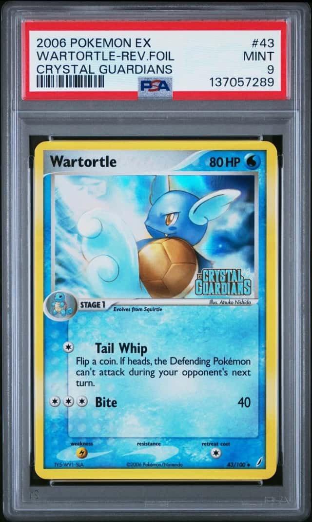 Wartortle
